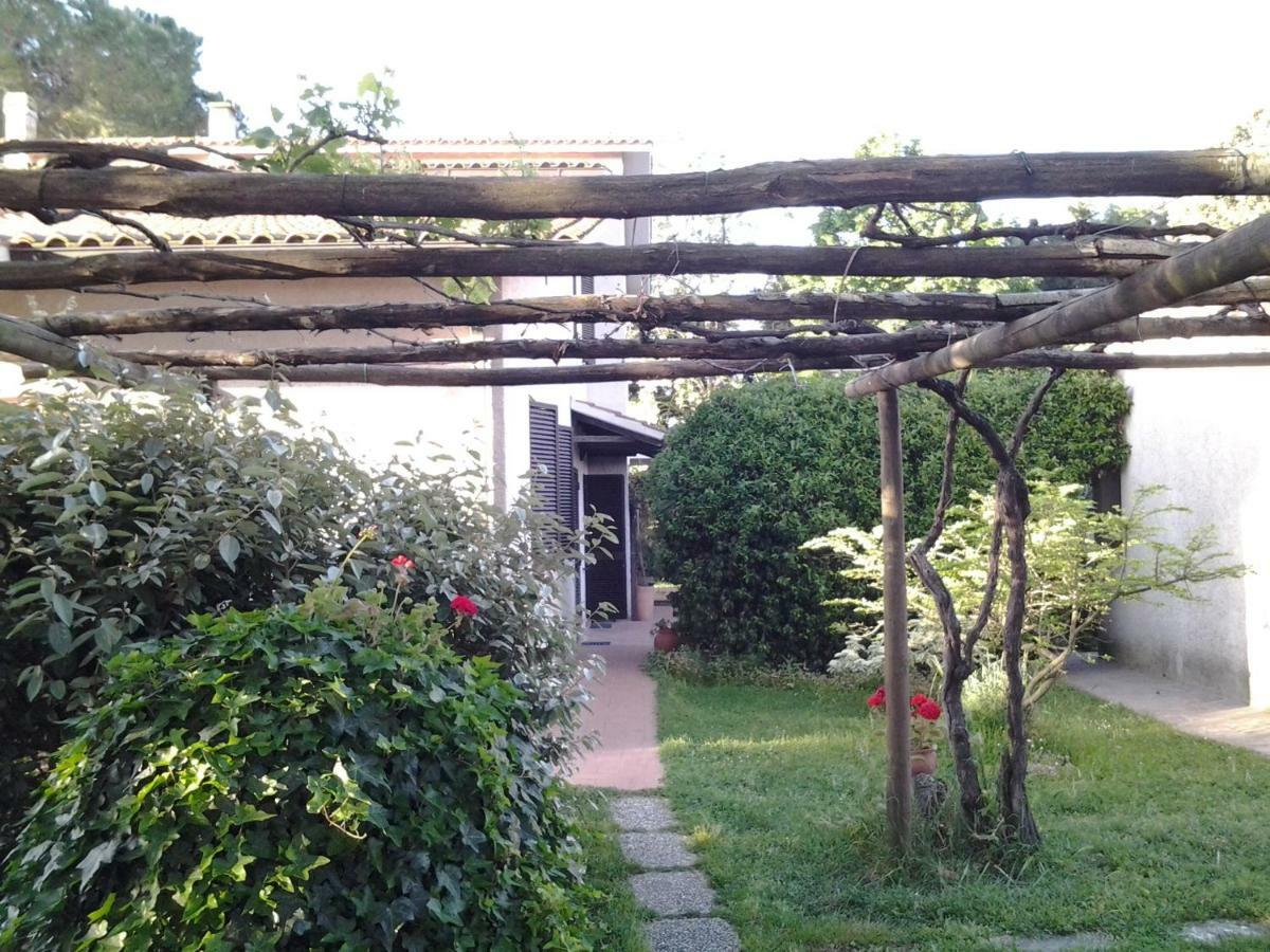 Agriturismo Piana Arborello Hotel Magliano in Toscana Exterior photo