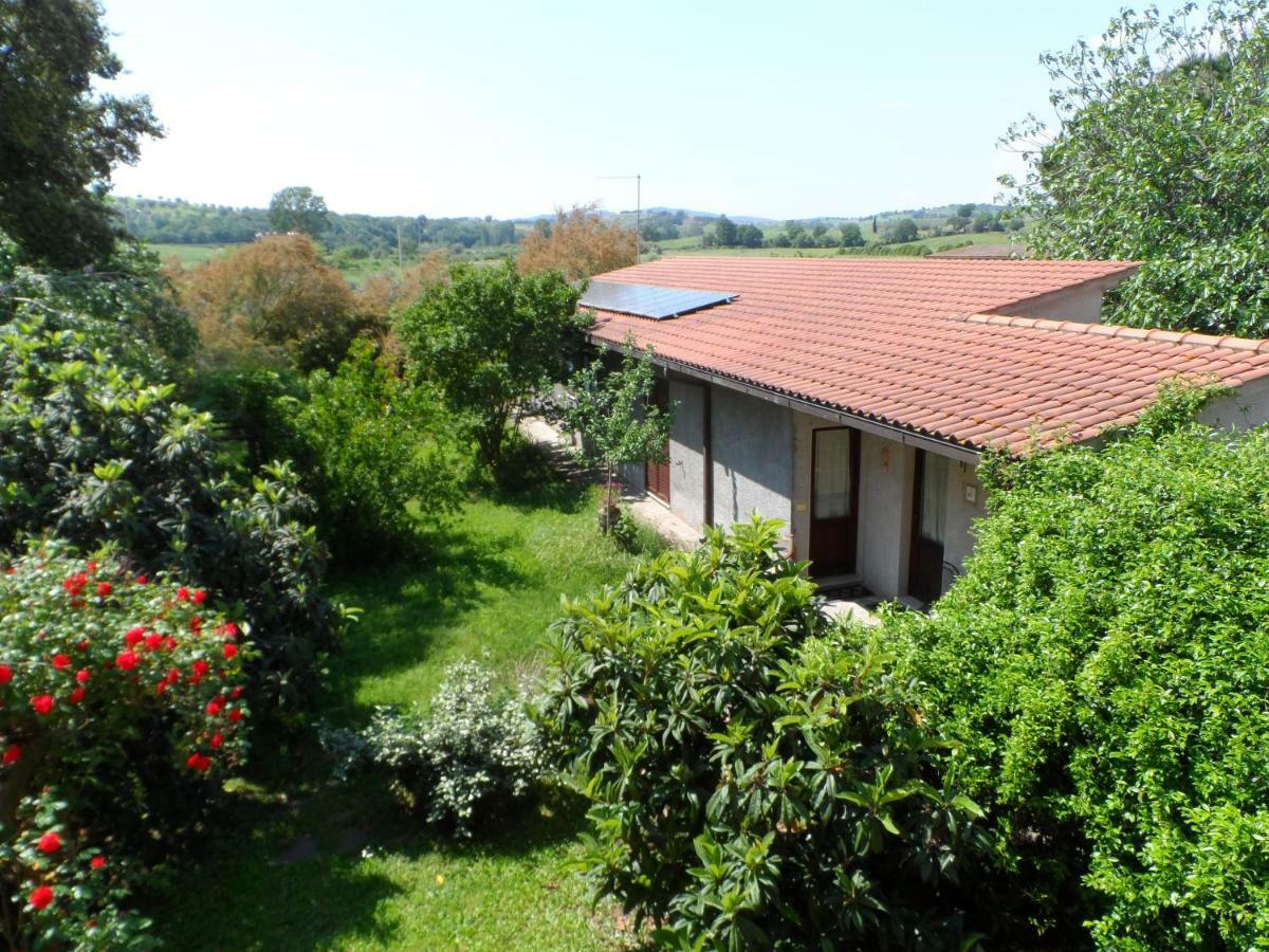 Agriturismo Piana Arborello Hotel Magliano in Toscana Exterior photo