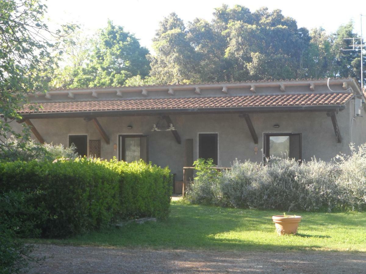 Agriturismo Piana Arborello Hotel Magliano in Toscana Exterior photo