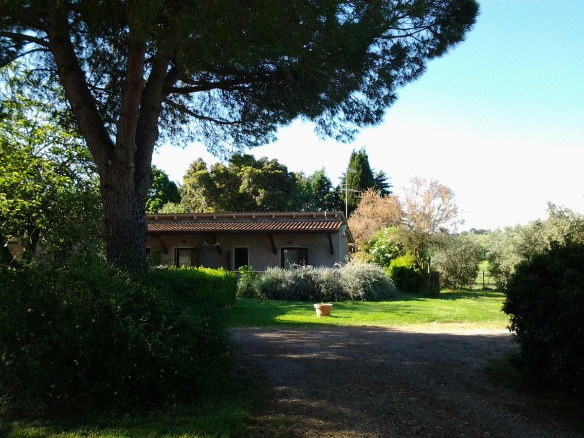 Agriturismo Piana Arborello Hotel Magliano in Toscana Exterior photo